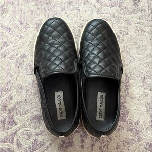 Steve Madden Eccentrcq Sneakers